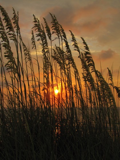 Photography: Sunrise