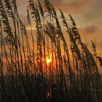 Портфолио Smile Gypsy