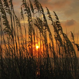 Photography: Sunrise